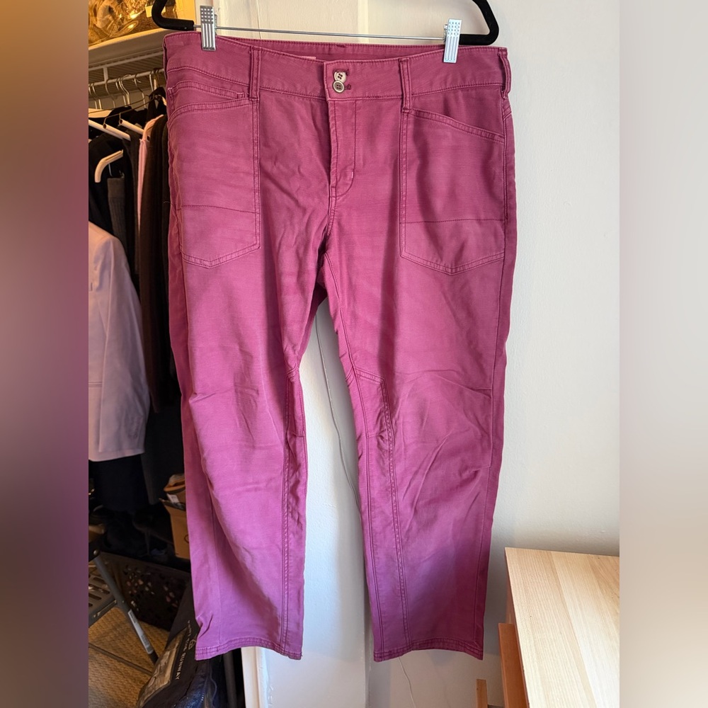 EUC Anthropologie PILCRO the Wanderer 30Petite